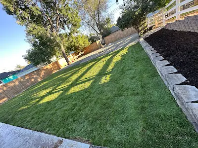 Grass Cutting Services