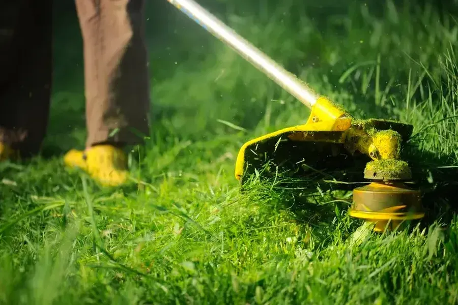 Choosing The Right Grass Cutting Schedule For Your Lawn Lafayette, CO Choosing The Right Grass Cutting Schedule For Your Lawn Lafayette, CO