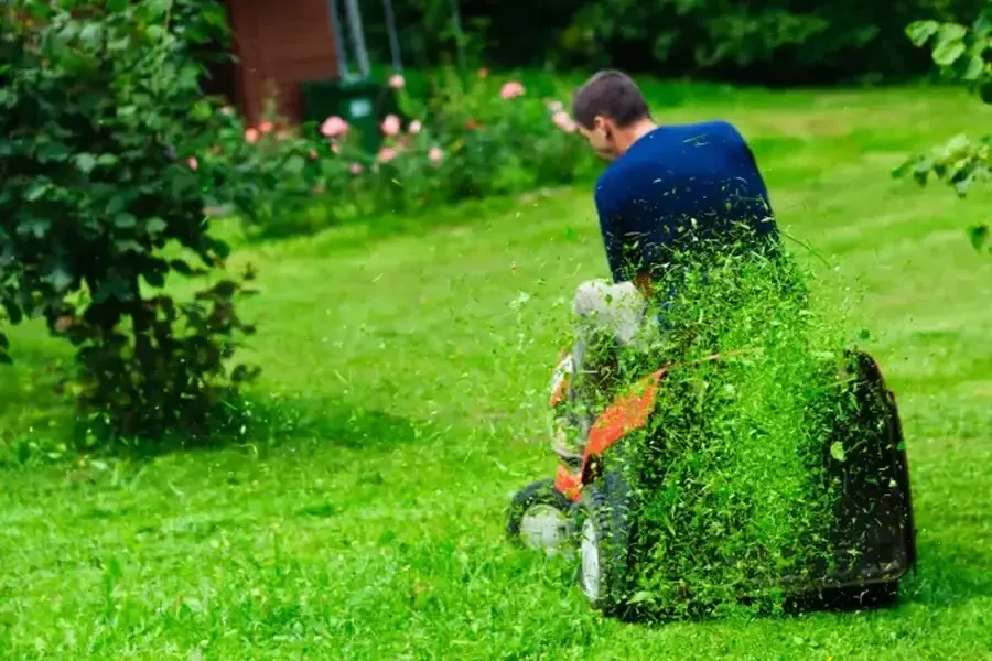 Choosing The Right Grass Cutting Schedule For Your Lawn in Lafayette, CO Choosing The Right Grass Cutting Schedule For Your Lawn in Lafayette, CO