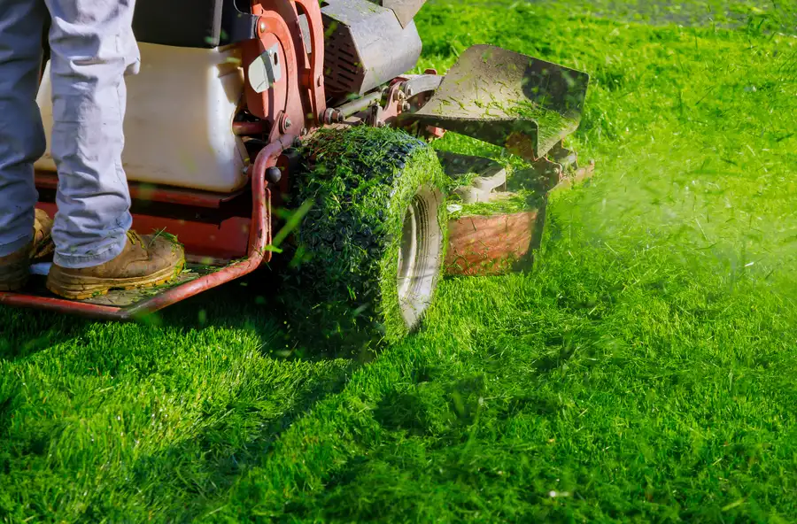 Expert Lawn Mowing Services Lafayette, CO