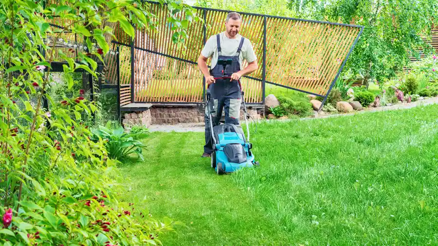 Reputable Lawn Mowing Services Lafayette, CO