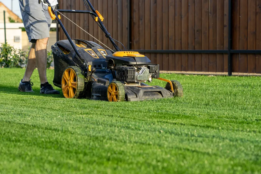 The Role Of Lawn Mowing Service In Lawn Disease Prevention Lafayette, CO