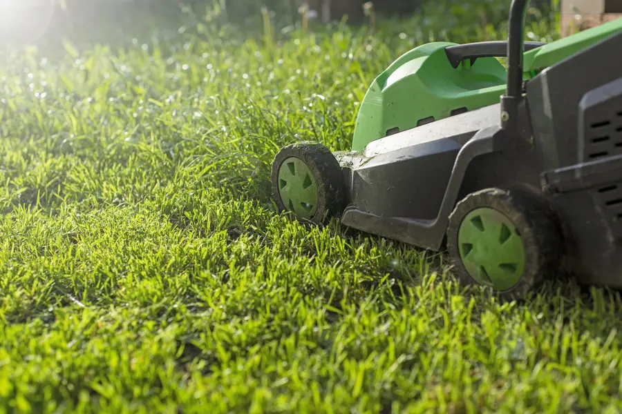 The Role Of Lawn Mowing Service In Lawn Disease Prevention in Lafayette, CO