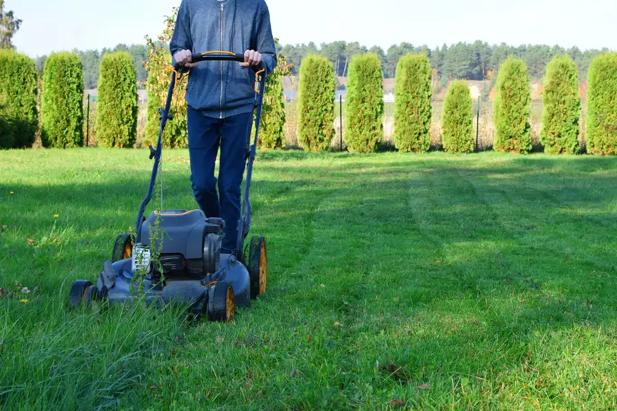 What To Expect From A Professional Lawn Mowing Service Lafayette, CO What To Expect From A Professional Lawn Mowing Service Lafayette, CO