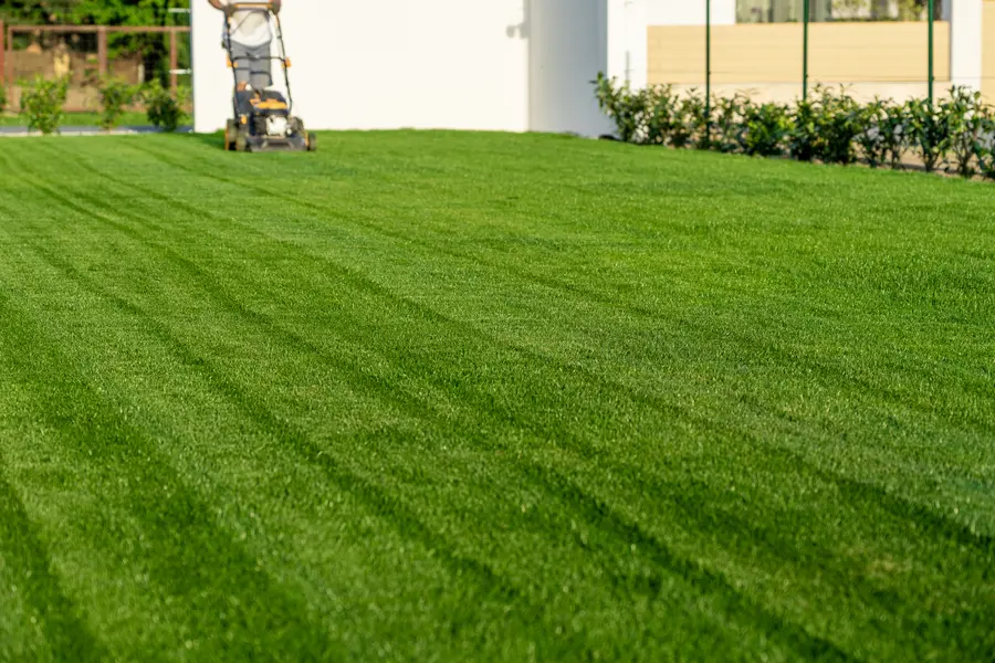 What To Expect From A Professional Lawn Mowing Service in Lafayette, CO What To Expect From A Professional Lawn Mowing Service in Lafayette, CO