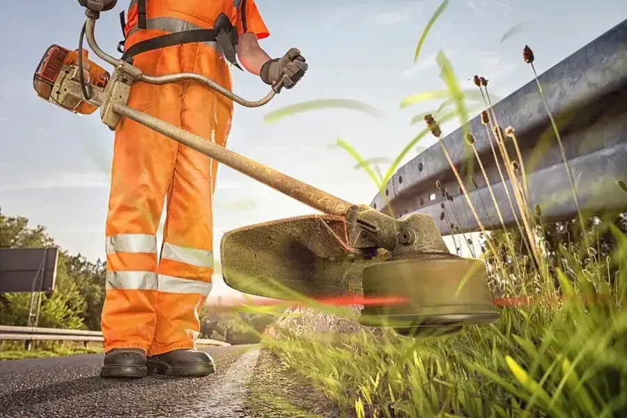 Why Grass Cutting Is Essential For Lawn Disease Prevention Lafayette, CO Why Grass Cutting Is Essential For Lawn Disease Prevention Lafayette, CO
